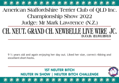 18.A. CH. NEUT. GRAND CH. NEWBELLE LIVE WIRE JC.png
